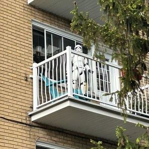 Meet your Posher, David